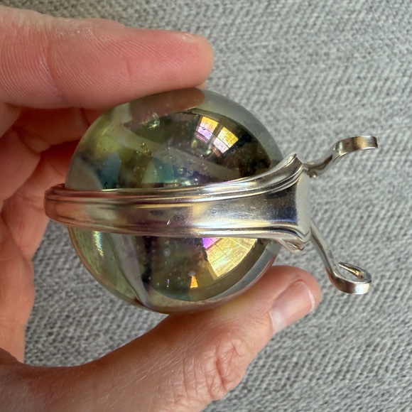 Marble Fork Snail - Picture 8 of 10